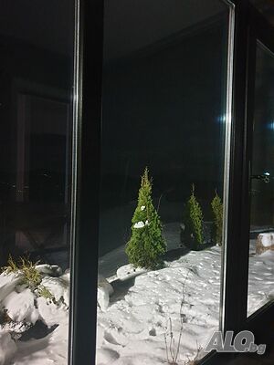 image_17