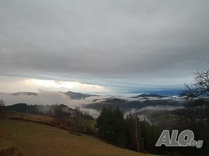 image_22