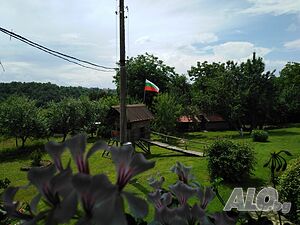 image_2