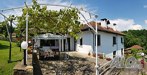 image_40