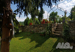 image_42