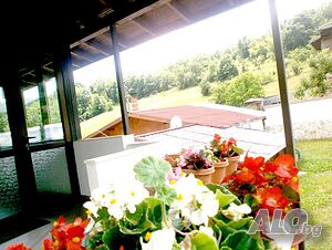 image_8