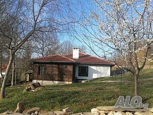 image_61