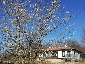 image_59