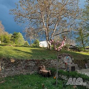 image_49
