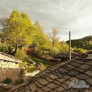 image_48