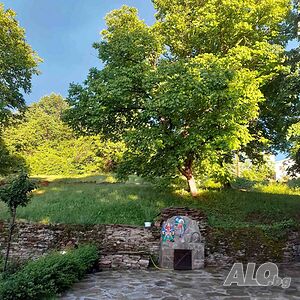 image_45