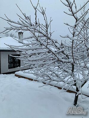 image_44