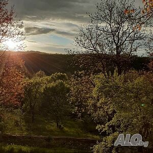 image_29
