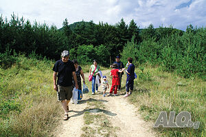 image_27