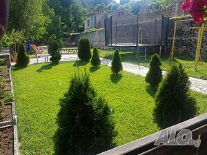 image_33