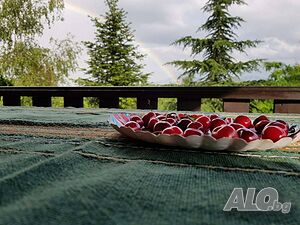 image_38