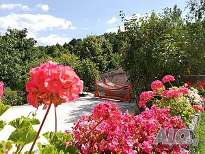 image_42