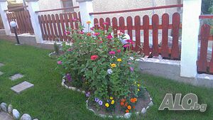 image_55