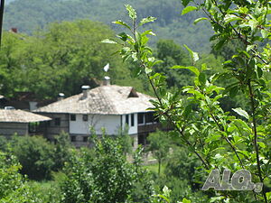 image_30