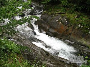 image_29