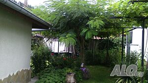 image_14