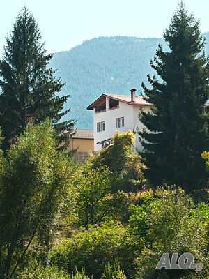 image_33