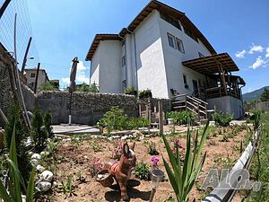 image_25
