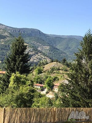 image_8
