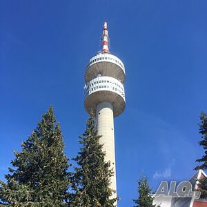 image_9