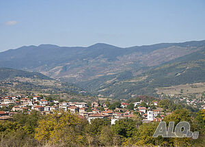 image_11