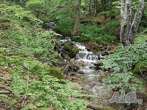 image_38