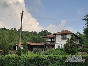 image_3