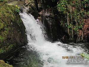 image_10