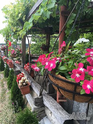 image_86