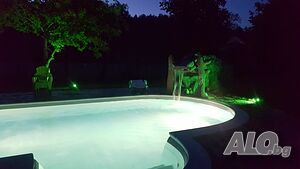 image_19