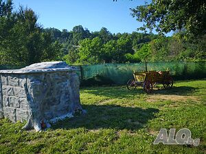 image_29