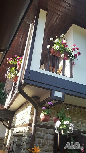 image_14