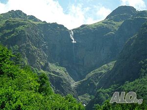 image_9