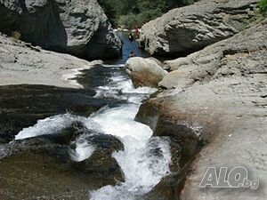 image_11