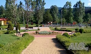 image_19
