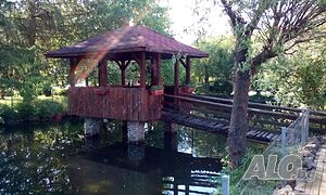 image_21