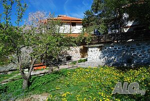 image_18