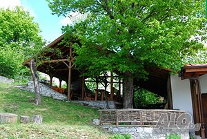 image_24