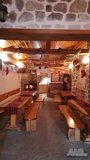 image_41