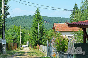 image_26