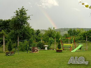 image_3
