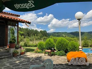 image_6