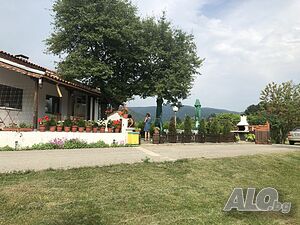 image_8