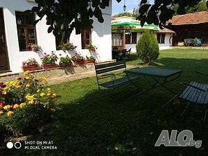 image_19