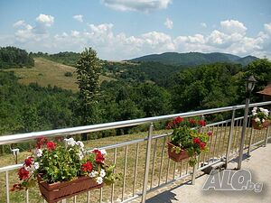 image_6