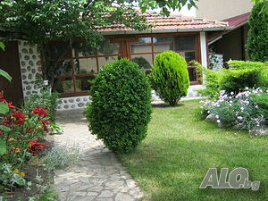 image_8