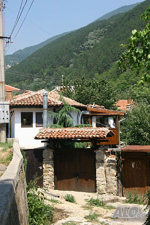 image_3