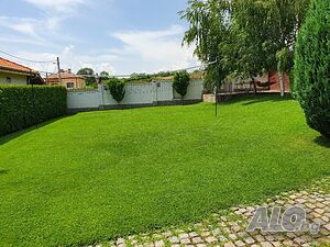 image_44