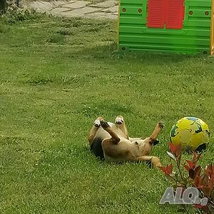 image_10